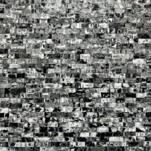 Nieuwe Expositie: ELLEN DE ROOS